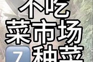 准三双！追梦6中3拿到6分12板13助